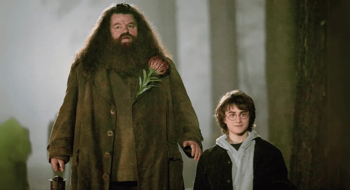 Harry Potter